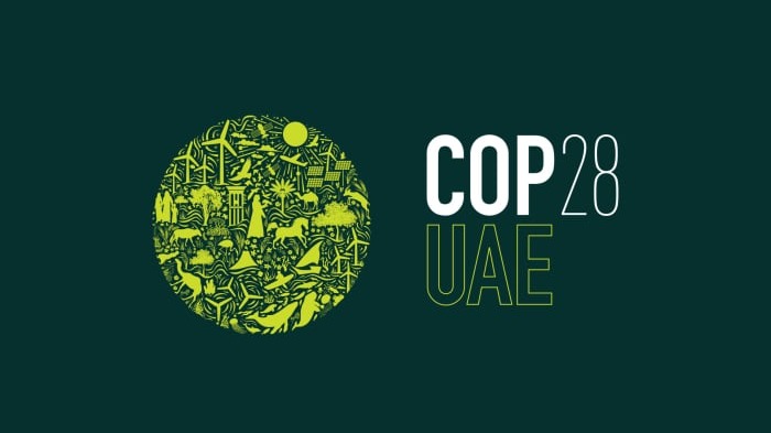 COP 28