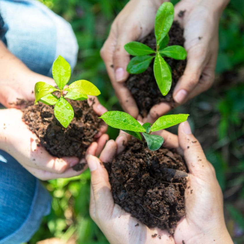 Educação Ambiental